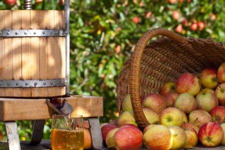 How to Make Cider from Apples Image